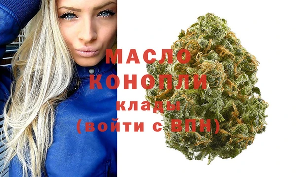молекула духа Дмитров
