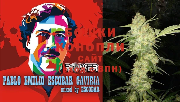 молекула духа Дмитров