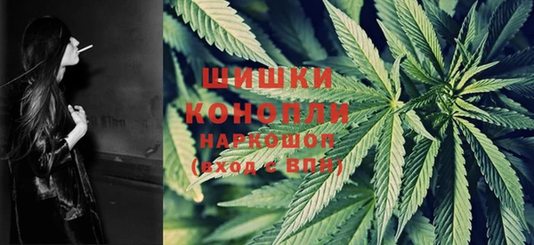 молекула духа Дмитров