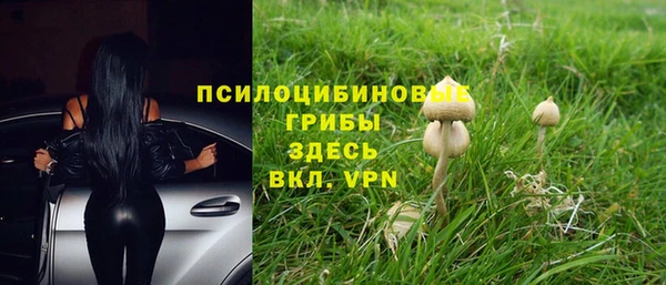 спиды Дмитриев