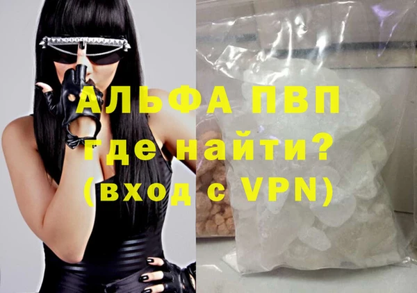 спиды Дмитриев