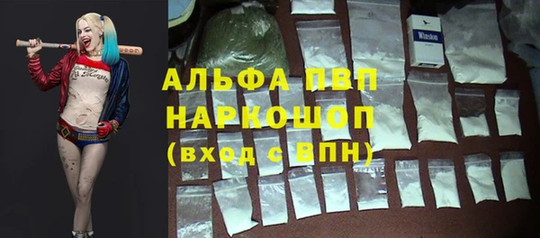 спиды Дмитриев